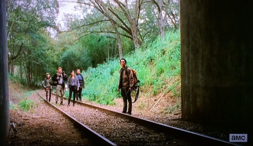 The Walking Dead Season 4 Episode 15 (7)