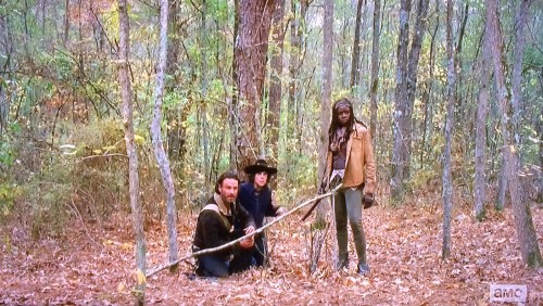 The Walking Dead Season 4 Episode 16 Season Finale (2)