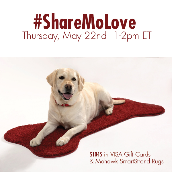 #ShareMoLove-Twitter-Party-5-22