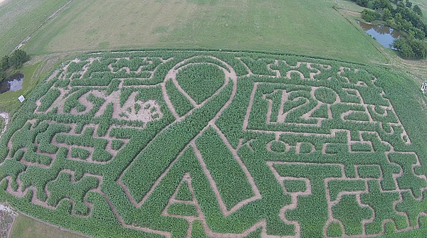 Autism Awareness Corn Maze