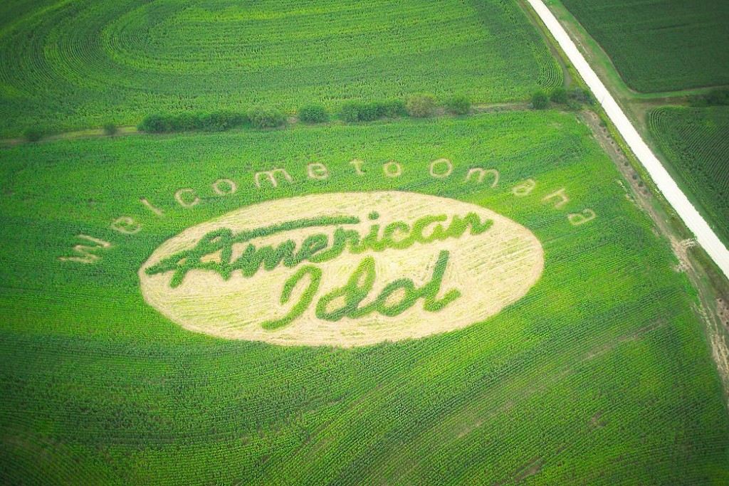 american idol corn maze