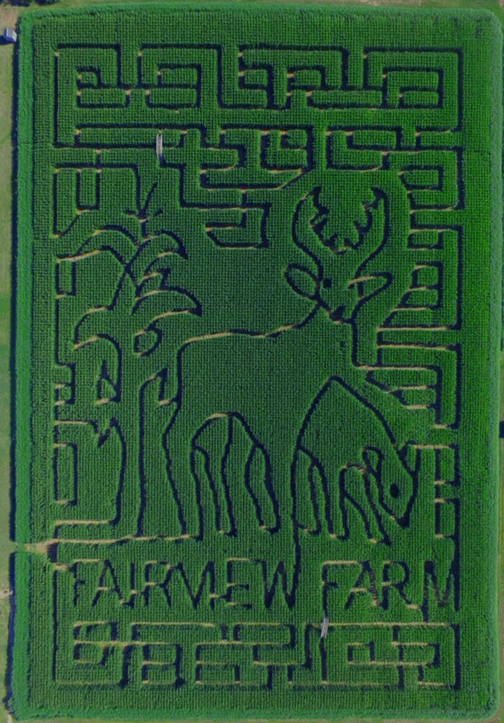 fairviewfarm corn maze