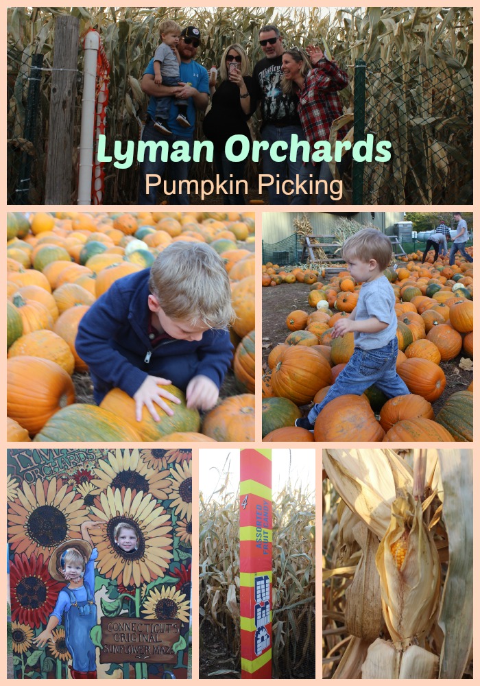 lyman Orchards