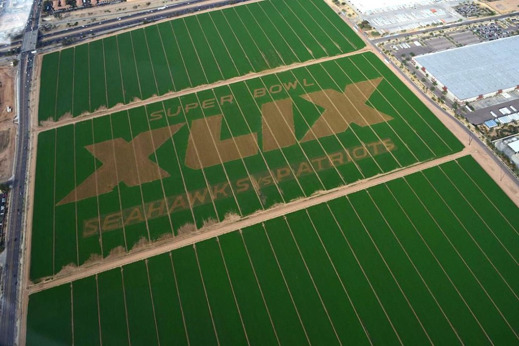 superbowl patriots vs seahawks corn maze