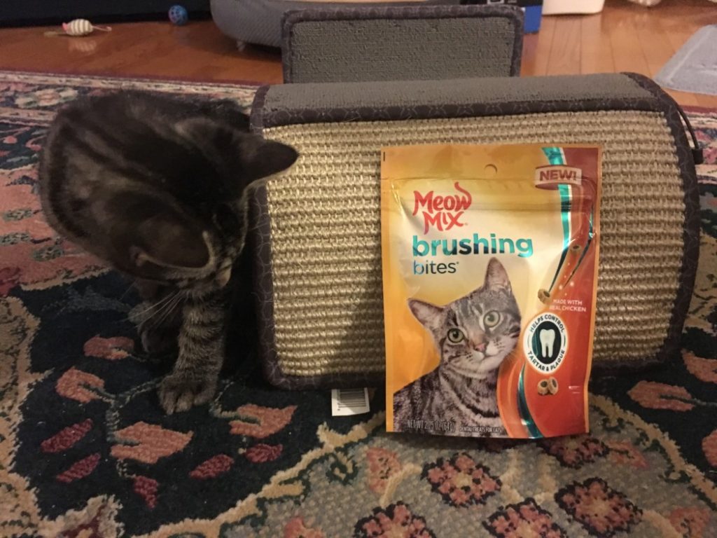 Meow Mix Brush bites