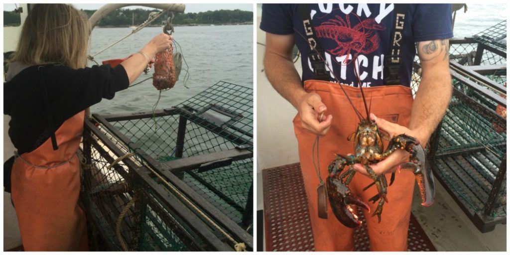 lobstering-in-maine-at-lucky-catch