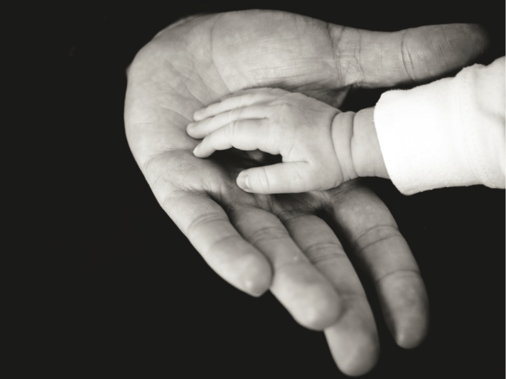 child hand in adult hand