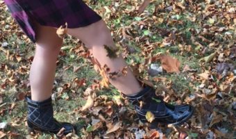 fall fashion jambu footwear