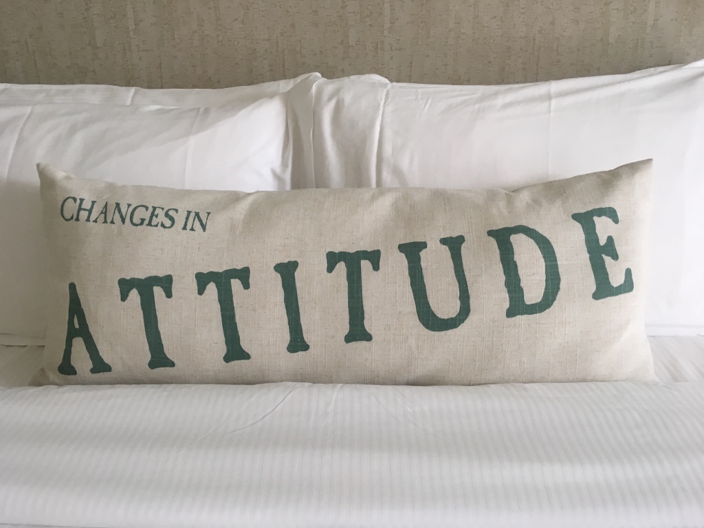 Margaritaville Pillow