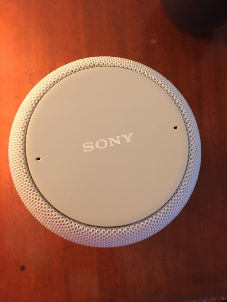 sony google assistant built in speaker