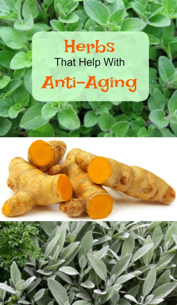  Anti-Aging herbs