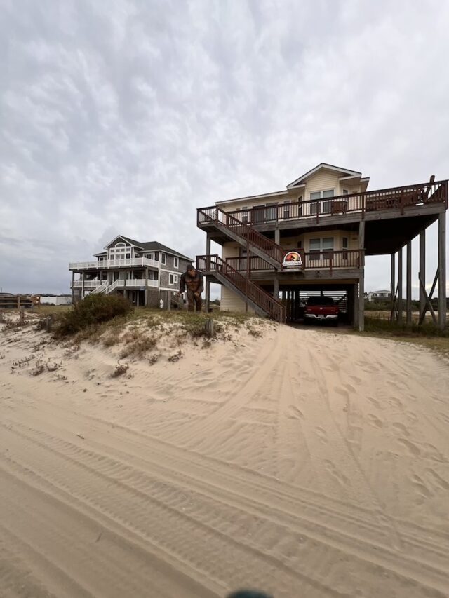 Wild Horse Adventure Tour Outer Banks OBX